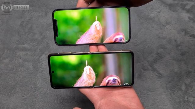 Apple iPhone 12 VS Samsung Galaxy Z Flip - Comparison Test смотреть онлайн