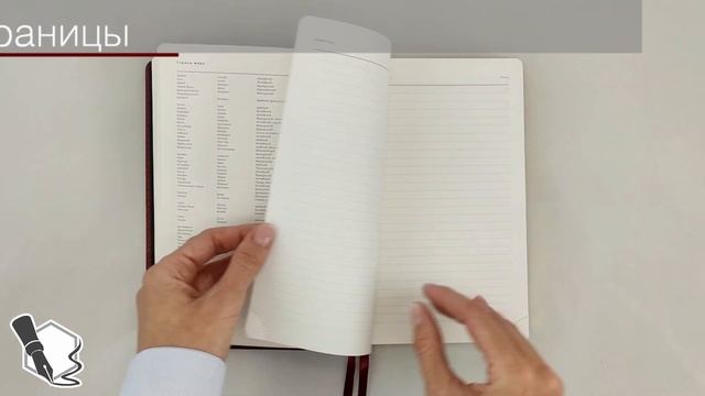 Недатированный ежедневник Bruno Visconti Parliament арт.: 3-212. Видеообзор. смотреть онлайн