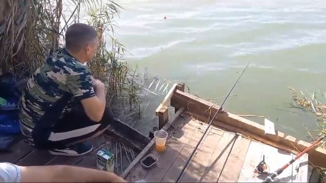 Краснодар. Где поймать щуку и окуня. Ч.1 смотреть онлайн