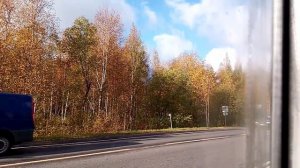 Автобус 327. Г. «Колпино», Заводской проспект - А/с «Улица Грибакиных».