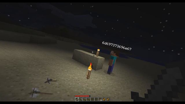 Is the NPC haunting the beta versions of Minecraft? (Scary Minecraft Video) смотреть онлайн