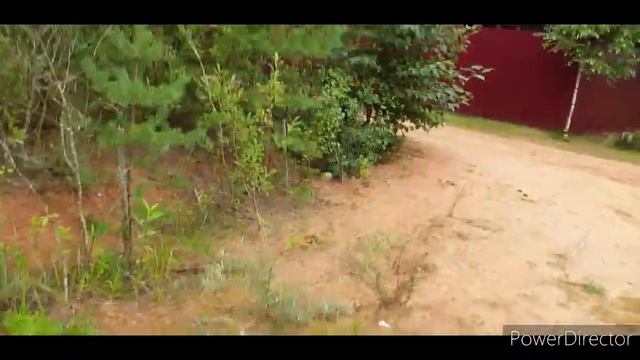 Набрали грибов#Полюбовались природой смотреть онлайн