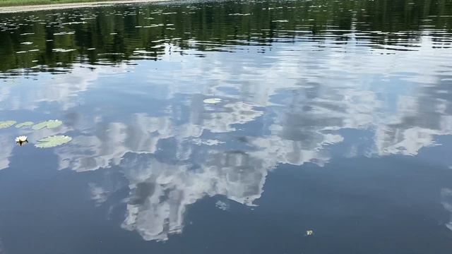 Viktor Orban Está A Tentar Salvar A Europa De Si Própria.