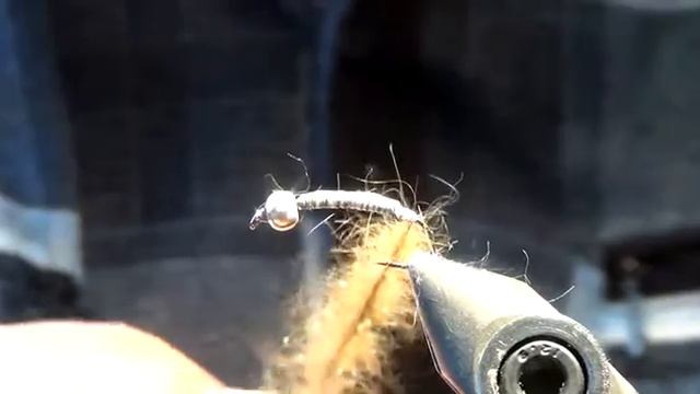 NYMPH - ,,SPIDER,,  SVA