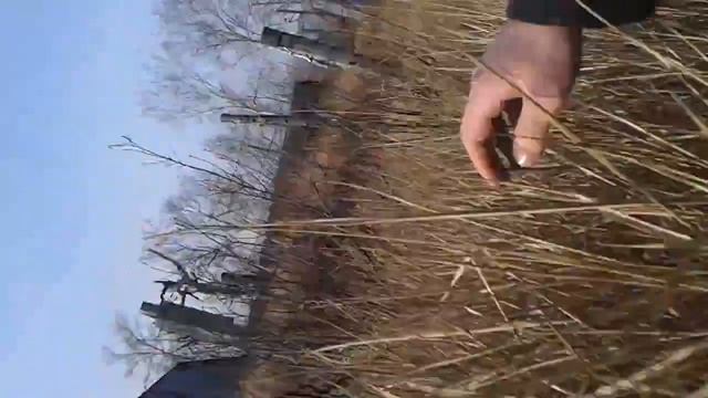 Видео с Мед. складов. Вторая вылазка. Часть 1 смотреть онлайн