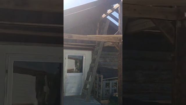 Продолжение постройки пристройки к бане, террасы, навеса. 3 серия. смотреть онлайн