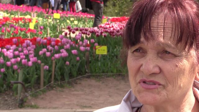 Артековцы стали первыми зрителями "Парада тюльпанов" смотреть онлайн