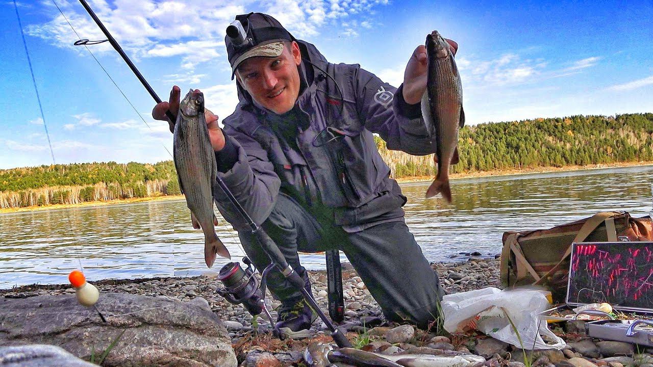 НАШЁЛ ЯМУ С САМОЙ ВКУСНОЙ РЫБОЙ! ОДИН ЗА ДРУГИМ! Осенняя рыбалка на хариуса на Енисее смотреть онлайн