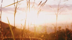 Natural Spirit - Славянская колыбельная