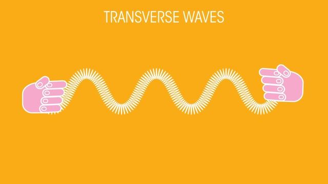 Transverse & Longitudinal Waves | Waves | Physics | FuseSchool смотреть онлайн