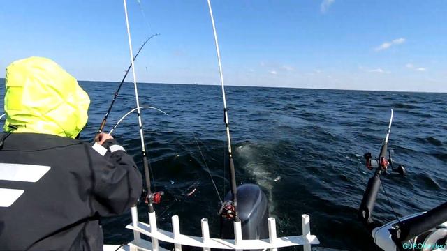 Trolling Lašiša Baltic  Sea 2019 ,Латвийская версия.