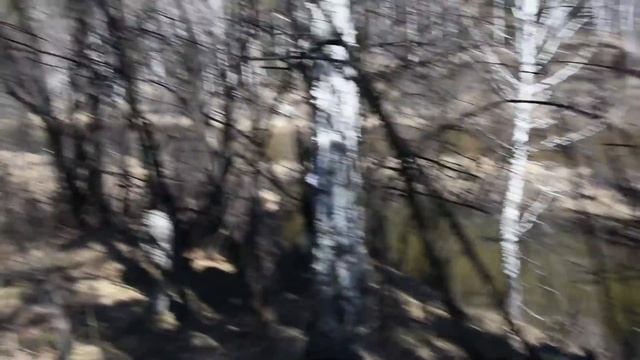 Долгобродский Демидовский завод Шигир смотреть онлайн