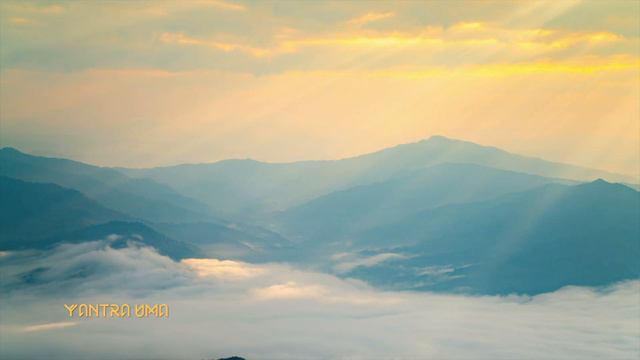 Насколько сильно вы хотите пробудиться. Роберт Адамс. Философия | Адвайта | Эзотерика. Аудиокнига. смотреть онлайн