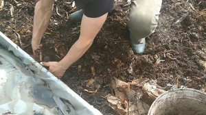 Разведение червей на улице.