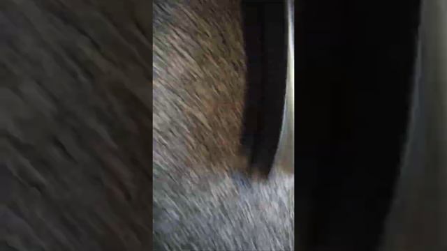 ЛЫЖИ NORDWAY из СПОРТМАСТЕРА смотреть онлайн