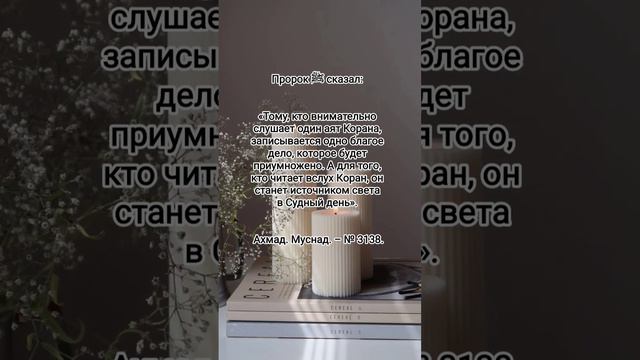 коран #ислам #islam #вера #знания #иман #жизнь #хадис #счастье #коран #сунна #чтение #блог #душа смотреть онлайн