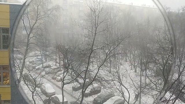 Снежный буран в Москве 14 января смотреть онлайн
