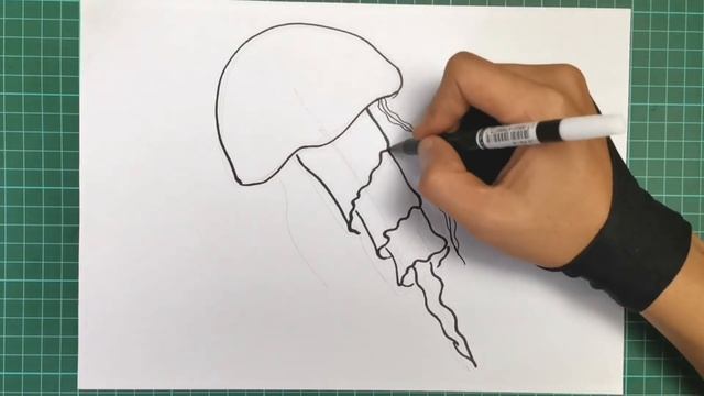 How to Draw a Jellyfish Step by Step смотреть онлайн