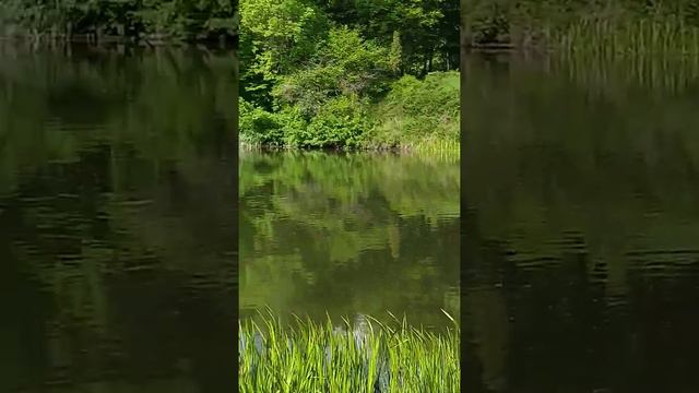 г.Белая Церковь Киевской области.Парк Александрия.Май 2021г. смотреть онлайн