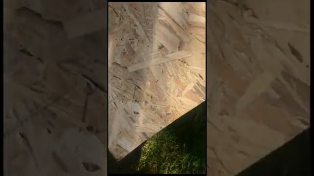 Вячеслав Герасимов