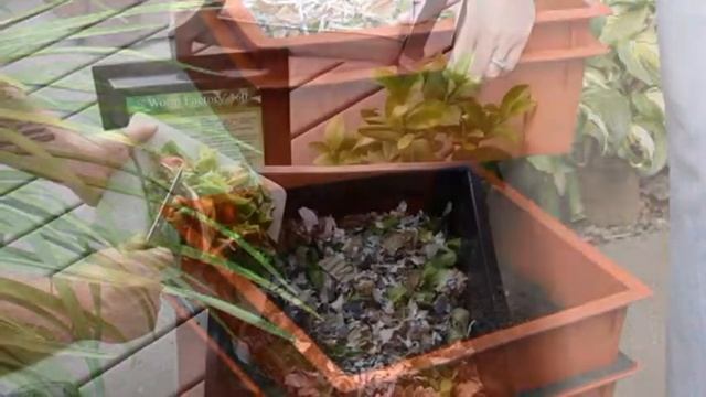 Worm Factory 360 Composter Review смотреть онлайн