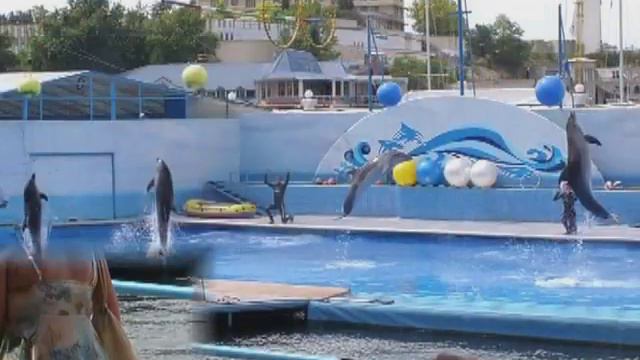 Дельфинарий в Севастополе! Dolphin in Sevastopol! смотреть онлайн