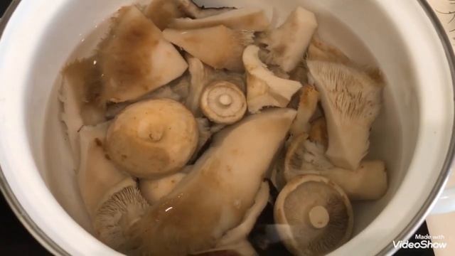 Наука и Открытия в Мире Технологий