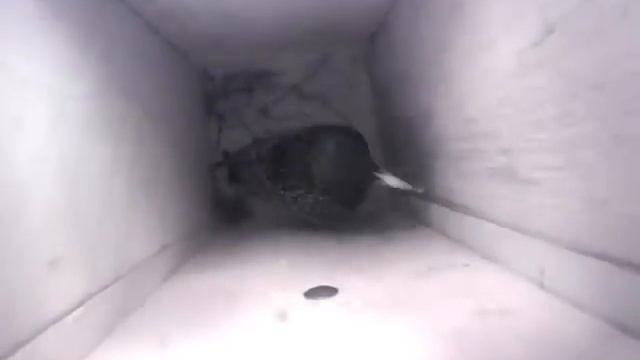 Видеоскворечник, ч 2