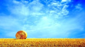 Почему небо голубое [Важно знать]