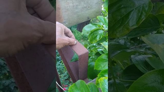 наружная лестница на деревянных ступеньках ! смотреть онлайн