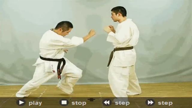 kyokushin karate wheel kick смотреть онлайн