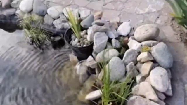 Чистые пруды. ДОУ 82 г.Братск смотреть онлайн