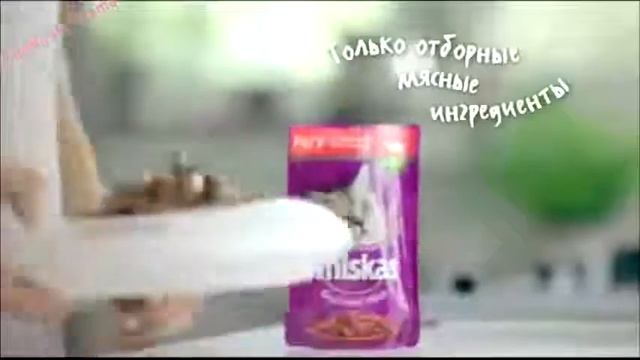 Аdvertising Реклама Вискас Глазами кошки смотреть онлайн