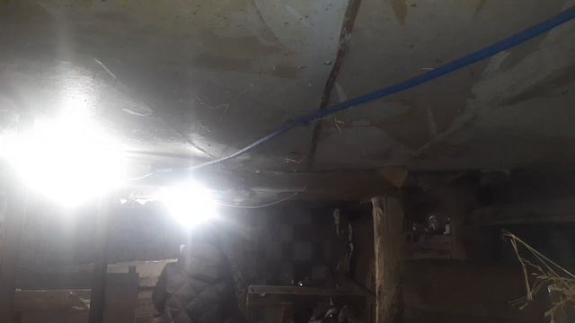 Охота у коз, почему не приходят в охоту,причины и ещё. смотреть онлайн