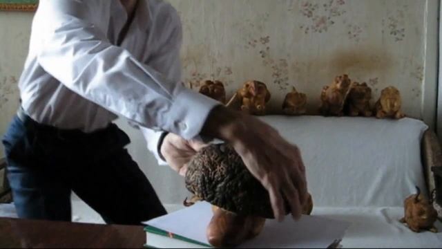 Необычная коллекция скульптур малой формы смотреть онлайн