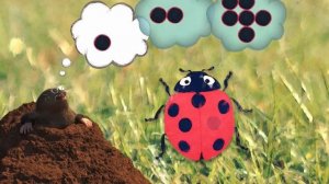 Little Kitten Preschool Adventure Educational Games - Play Fun Cute Kitten Pet Care Gameplay #326