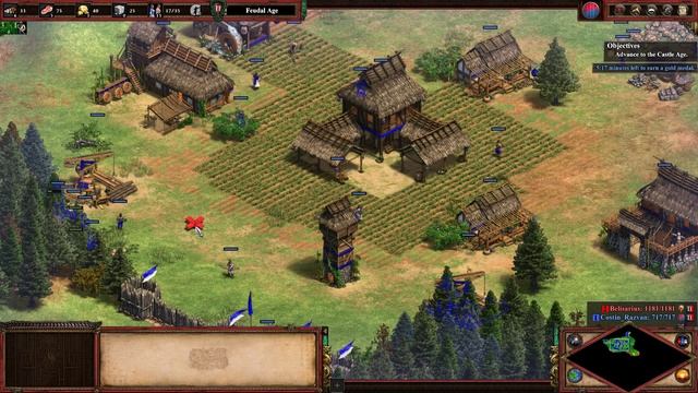 Age of Empires II: Definitive Edition - The Art of War: Rushing and Defending Gold Medals смотреть онлайн