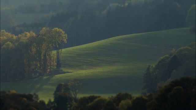 Расслабляющая классическая музыка со звуками природы для сна Спокойное пение птиц для расслабления смотреть онлайн