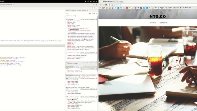 Pulsing CSS Arrow смотреть онлайн