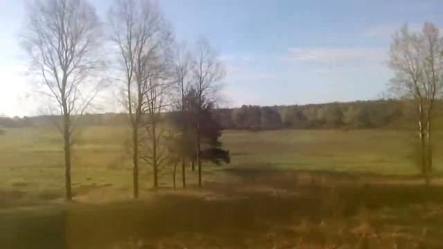 Брянские леса смотреть онлайн