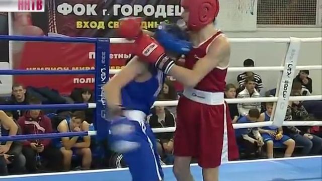 Турнир по боксу памяти Василия Маргелова смотреть онлайн