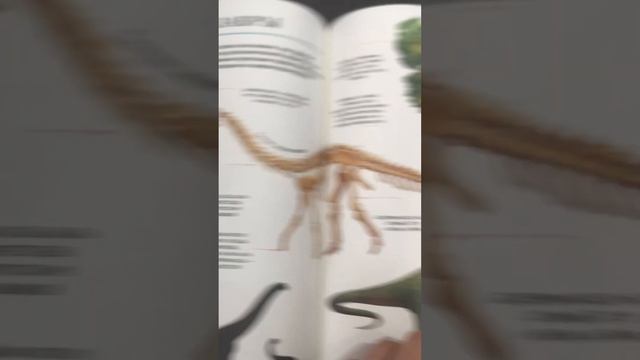 Книга современная энциклопедия динозавры смотреть онлайн