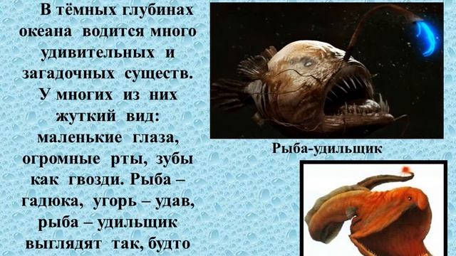 Обитатели морей и океанов смотреть онлайн