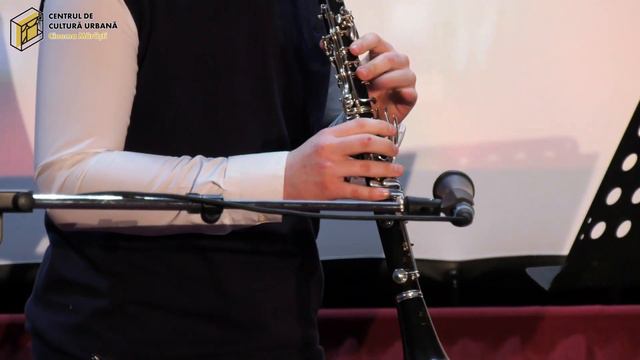 Armonii de primăvară - recital instrumental (partea a II-a) смотреть онлайн