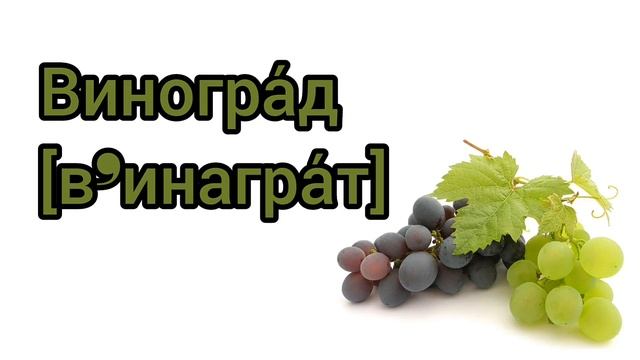 Berries Names