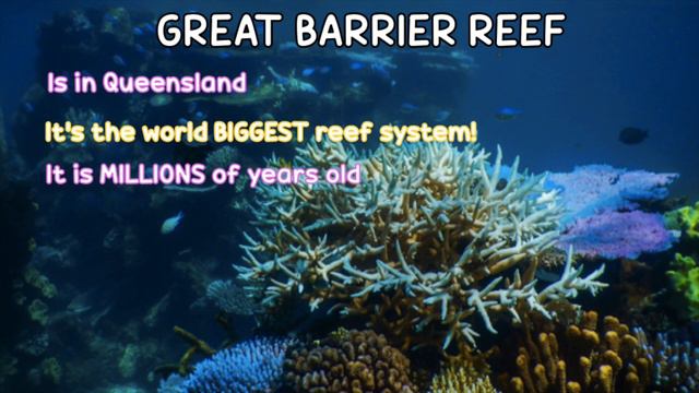 Awesome FACTS About Australia! (The Norris Nuts Live In Australia)