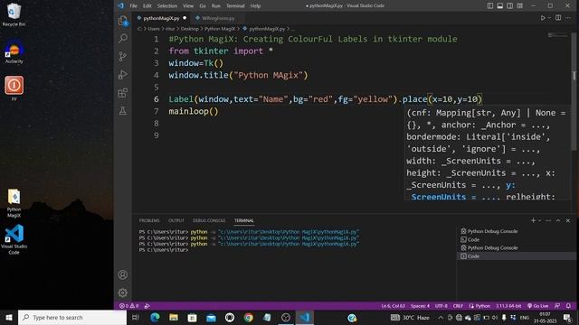 Create Colorful Labels in Tkinter Window | Python Magix смотреть онлайн