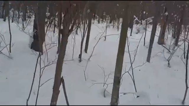 28 февраля 2024 г. смотреть онлайн