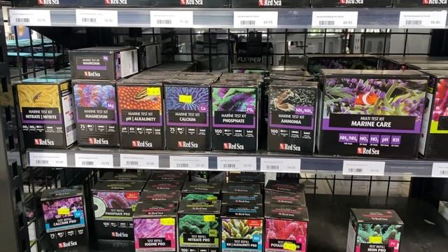 LFS Tour - Nature Pets & Aquariums смотреть онлайн