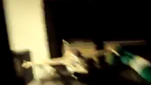 my home bar SEVERNAYA смотреть онлайн